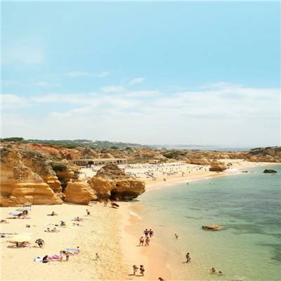 开云·体育(kaiyun)截图