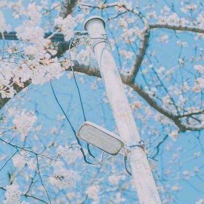 泛亚电竞综合APP