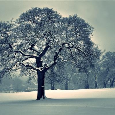 竞彩足球app官方手机app下载